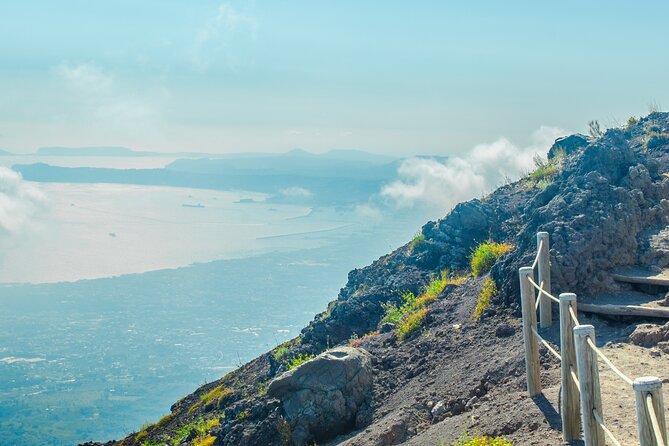 Vesuvius & Herculaneum Small Group Tour from Naples - The $98.48 price and what it covers
