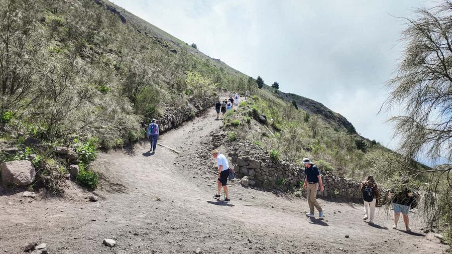 Vesuvius Volcano Experience: from Naples, Pompeii and Rome - What The $37 Price Includes