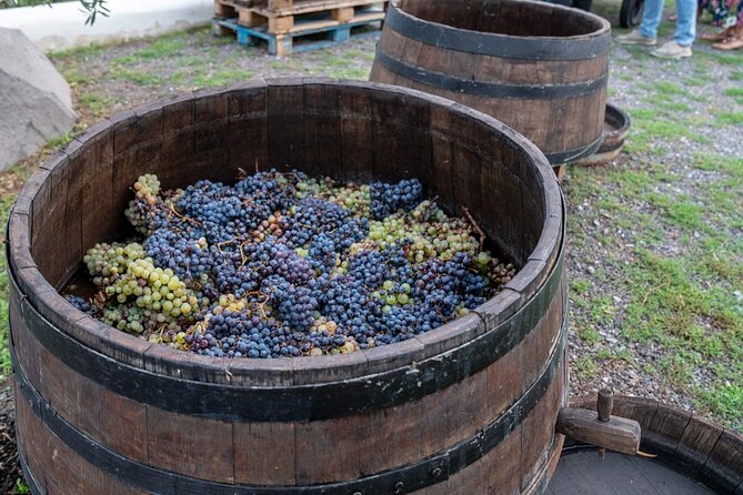Vesuvius Wine Tasting Experience with Lunch Included - The food begins with a generous Neapolitan spread