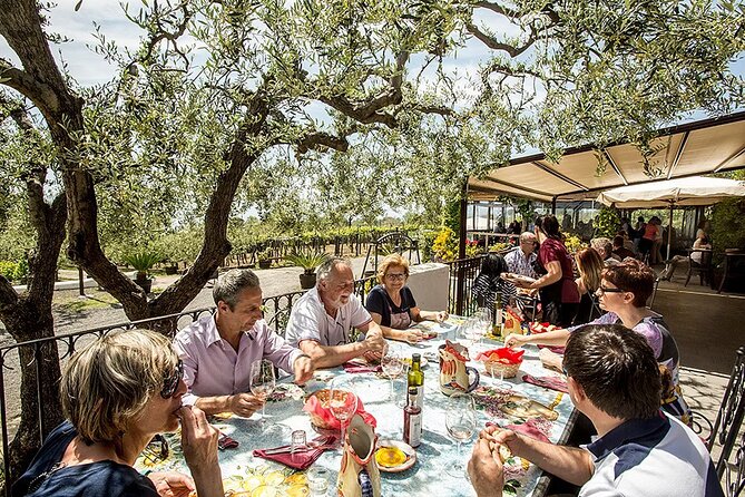 Vesuvius Wine Tasting Experience with Lunch Included - What you see before the first glass