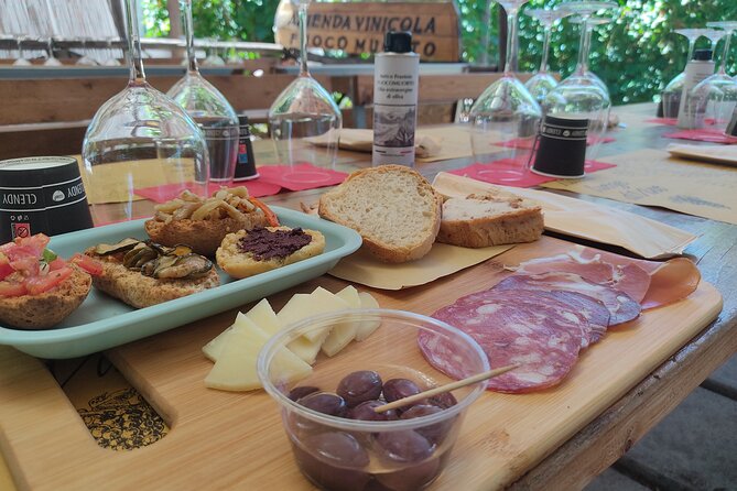 Vesuvius wine tasting with company tour - Beginning among the terraced vineyards