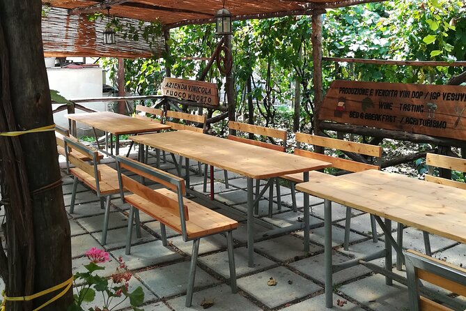 Vesuvius wine tasting with company tour - How the private format changes the visit