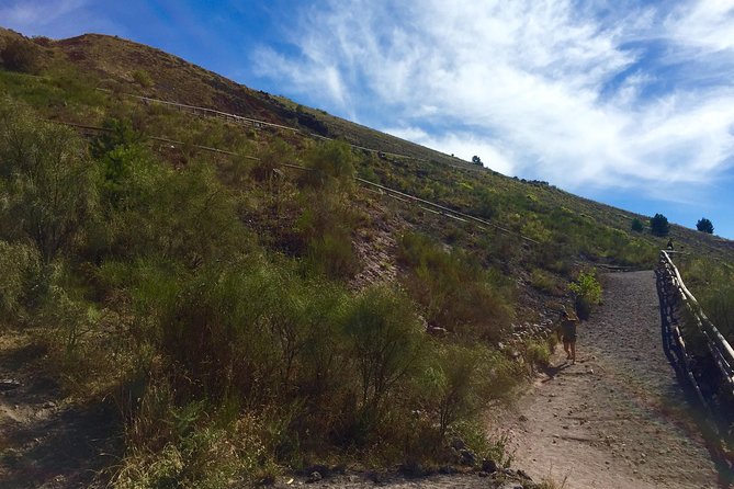 Vintage Van Experience: Tour and Transfer to Mt. Vesuvius - Reaching the crater with an authorized park guide