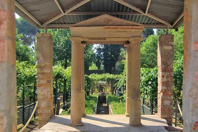VIP Pompeii Tour including Newly Opened Houses With Archaeologist - Stabian Baths and Roman routines
