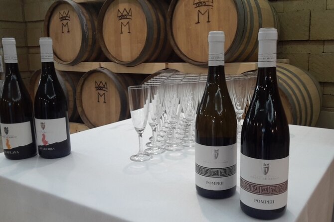 Visit 2 wine producers with tasting and transportation included - Bosco de Medici for three wines and lunch