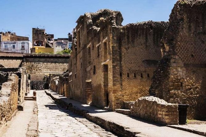 Visit Herculaneum with an expert professional guide (2/3 hours) - Is $106.46 per person good value?
