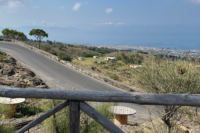 Visit Mt Vesuvius & Pompeii skip the line tickets from naples - Driver, guide, or both?