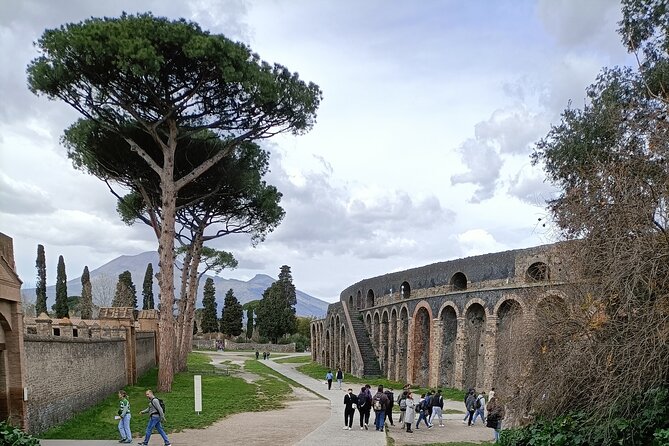 Visit Pompeii Sorrento Positano - Key points to know before booking