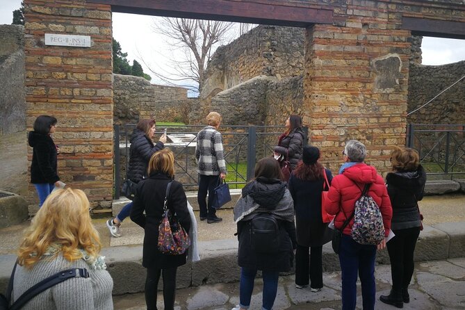 Visit Pompeii with an expert professional guide (2/3 hours) - Meeting at Via Villa dei Misteri