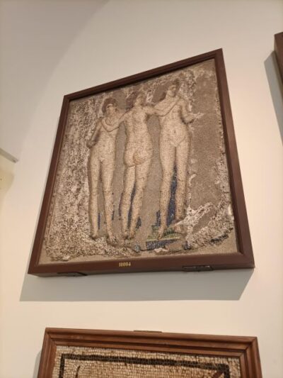 Visit the Museum MANN with a professional guide