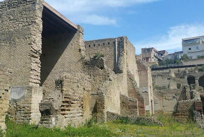 Visit to the archaeological park of Herculaneum - Practical details that affect the day