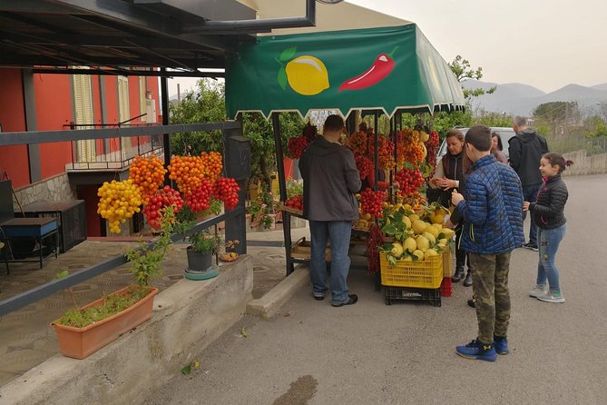 Wine & Food Tour at the Vesuvius Winery - A short Pompeii Sanctuary add-on