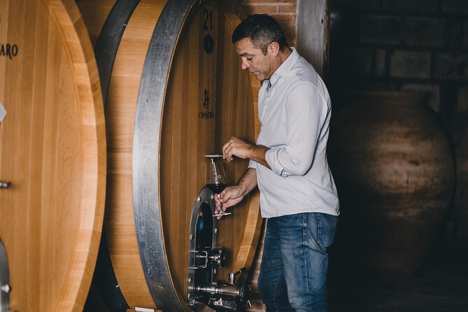 Wine Tasting and Winery Tour in Vesuvio National Park with Lunch - Key points to know before booking