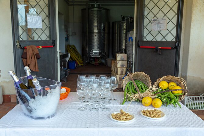 Wine Tasting in Campi Flegrei from Naples - Timing, Group Size, and Practical Details