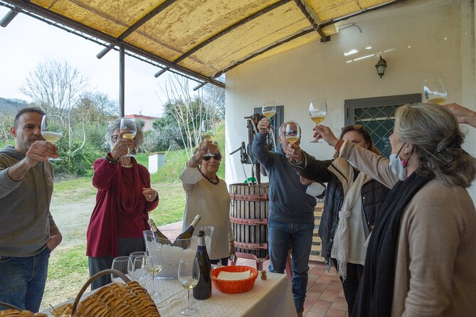 Wine Tasting in Campi Flegrei from Naples - How This Compares With a Naples Wine Bar