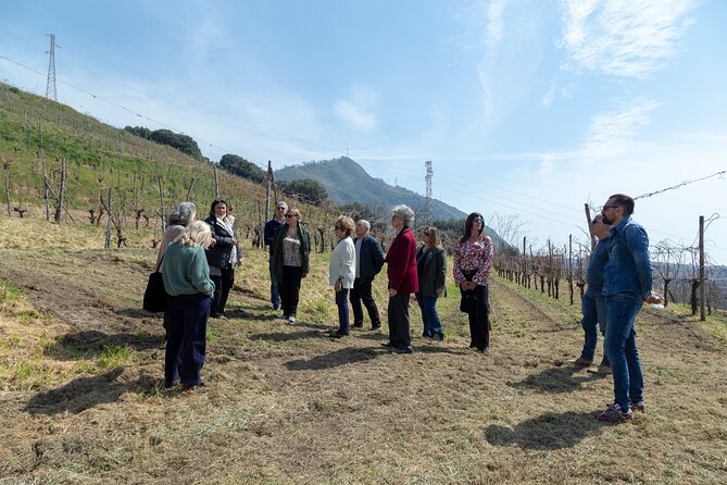 Wine Tasting in Campi Flegrei from Naples - Inside the Cellar With Vittoria and Mara