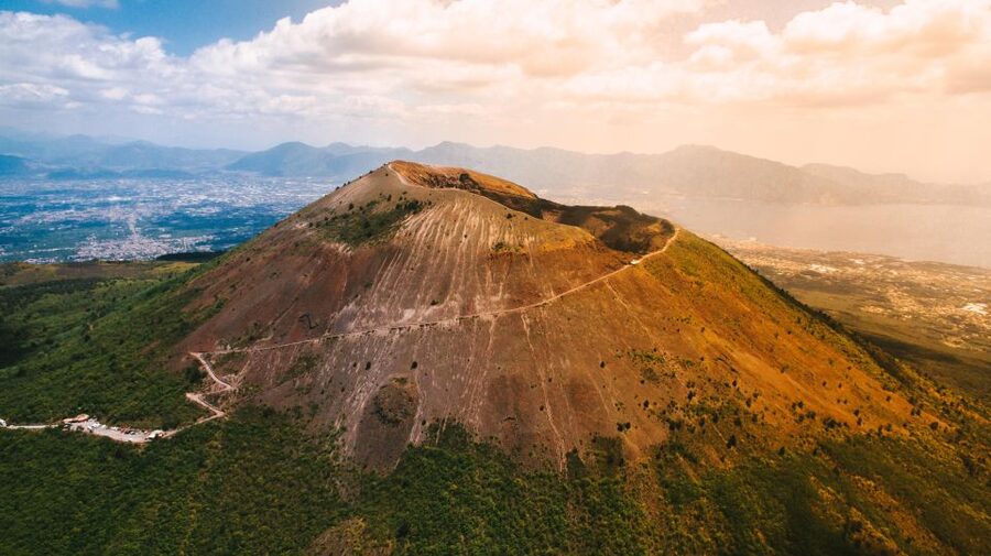 Wine tasting in the Vesuvius National Park - Key points to know before you book