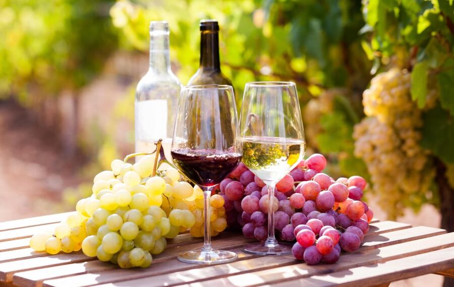 Wine tasting in the Vesuvius National Park - Walking through grape-filled vineyards