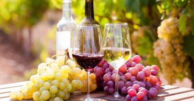 Wine tasting in the Vesuvius National Park